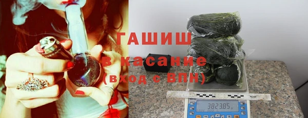 сатива Горняк