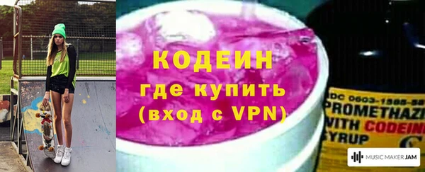 хмурый Вяземский