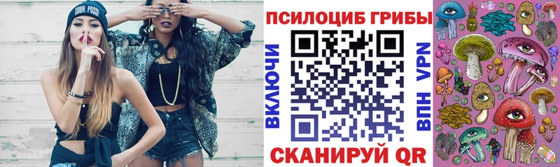 Галлюциногенные грибы Magic Shrooms  Купить где  Чебаркуль 